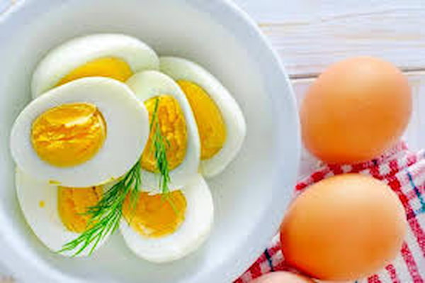 تصویر 5 از خرید و قیمت تخم مرغ فله + فروش عمده